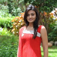 Nikitha Narayan New Pictures | Picture 68842
